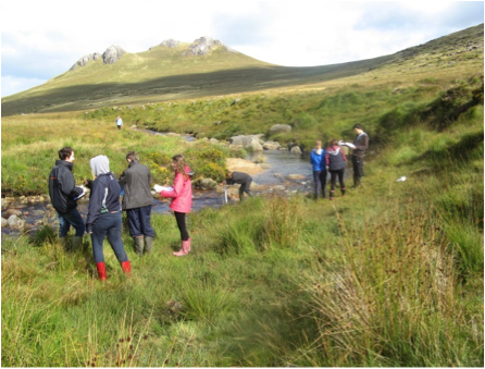 Year 12 students collecting field work data along the Rocky River, Mourne Mountains.