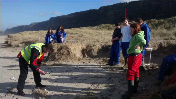 Year 13 students undertake data collection along sand dunes in the Umbra Nature Reserve, County Londonderry.