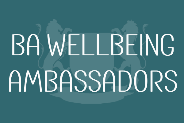 BA Wellbeing Ambassador Peer Support image